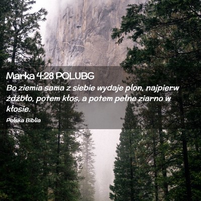 Picture 02 - Marka 4:28 POLUBG - Bo ziemia sama z siebie wydaje plon, najpierw - Bible Verse Picture