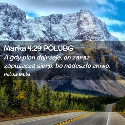 Picture 02 - Marka 4:29 POLUBG - A gdy plon dojrzeje, on zaraz zapuszcza sierp, bo - Bible Verse Picture