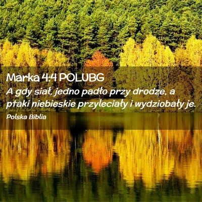 Picture 02 - Marka 4:4 POLUBG - A gdy siał, jedno padło przy drodze, a ptaki - Bible Verse Picture