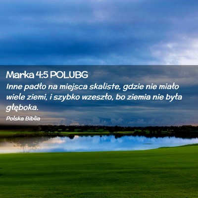 Picture 02 - Marka 4:5 POLUBG - Inne padło na miejsca skaliste, gdzie nie miało - Bible Verse Picture