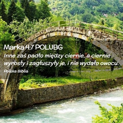 Picture 02 - Marka 4:7 POLUBG - Inne zaś padło między ciernie, a ciernie - Bible Verse Picture