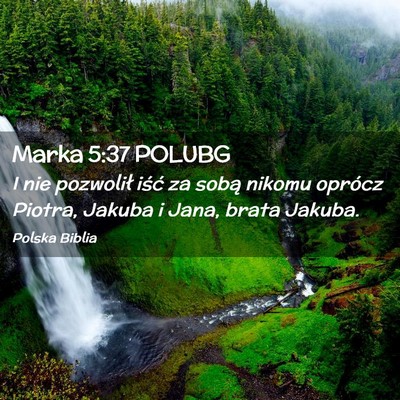 Picture 02 - Marka 5:37 POLUBG - I nie pozwolił iść za sobą nikomu oprócz - Bible Verse Picture