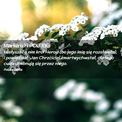 Picture 02 - Marka 6:14 POLUBG - I usłyszał o nim król Herod (bo jego imię - Bible Verse Picture