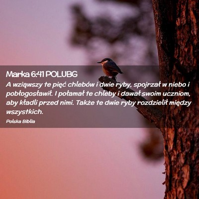 Picture 02 - Marka 6:41 POLUBG - A wziąwszy te pięć chlebów i dwie ryby, - Bible Verse Picture