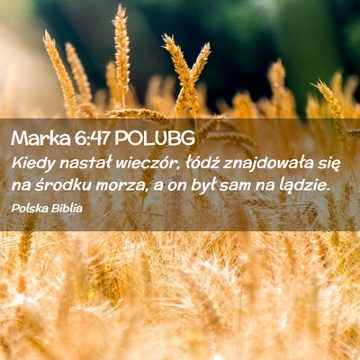 Picture 02 - Marka 6:47 POLUBG - Kiedy nastał wieczór, łódź znajdowała się - Bible Verse Picture