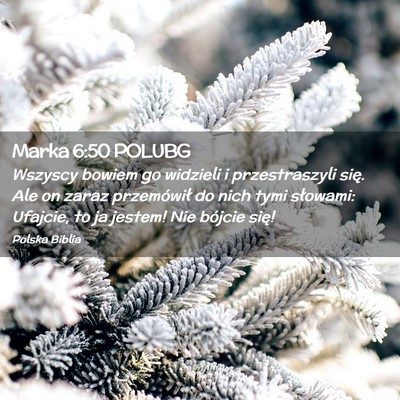 Picture 02 - Marka 6:50 POLUBG - Wszyscy bowiem go widzieli i przestraszyli się. - Bible Verse Picture