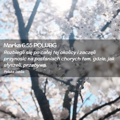 Picture 02 - Marka 6:55 POLUBG - Rozbiegli się po całej tej okolicy i zaczęli - Bible Verse Picture