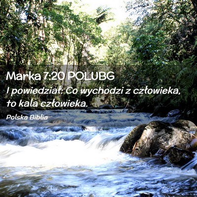 Picture 02 - Marka 7:20 POLUBG - I powiedział: Co wychodzi z człowieka, to kala - Bible Verse Picture