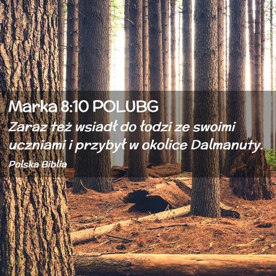 Picture 02 - Marka 8:10 POLUBG - Zaraz też wsiadł do łodzi ze swoimi uczniami i - Bible Verse Picture