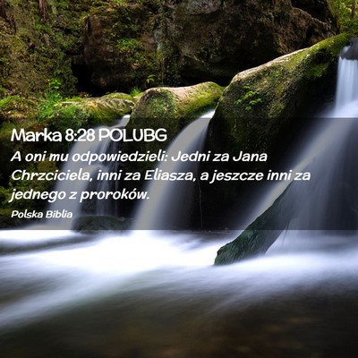 Picture 02 - Marka 8:28 POLUBG - A oni mu odpowiedzieli: Jedni za Jana - Bible Verse Picture