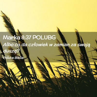 Picture 02 - Marka 8:37 POLUBG - Albo co da człowiek w zamian za swoją - Bible Verse Picture