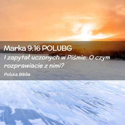 Picture 02 - Marka 9:16 POLUBG - I zapytał uczonych w Piśmie: O czym - Bible Verse Picture