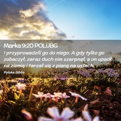 Picture 02 - Marka 9:20 POLUBG - I przyprowadzili go do niego. A gdy tylko go - Bible Verse Picture
