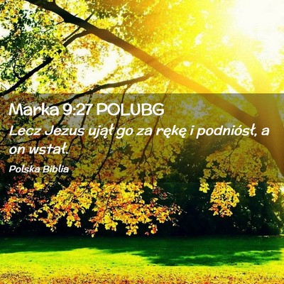 Picture 02 - Marka 9:27 POLUBG - Lecz Jezus ujął go za rękę i podniósł, a on - Bible Verse Picture
