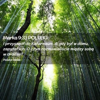 Picture 02 - Marka 9:33 POLUBG - I przyszedł do Kafarnaum. A gdy był w domu, - Bible Verse Picture