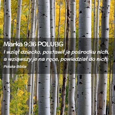 Picture 02 - Marka 9:36 POLUBG - I wziął dziecko, postawił je pośrodku nich, a - Bible Verse Picture