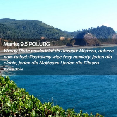 Picture 02 - Marka 9:5 POLUBG - Wtedy Piotr powiedział do Jezusa: Mistrzu, - Bible Verse Picture