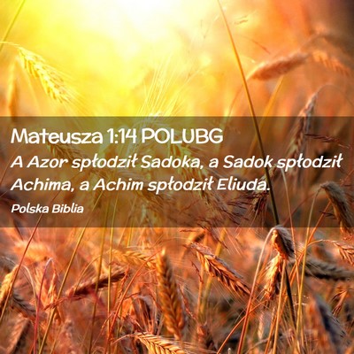 Picture 02 - Mateusza 1:14 POLUBG - A Azor spłodził Sadoka, a Sadok spłodził - Bible Verse Picture