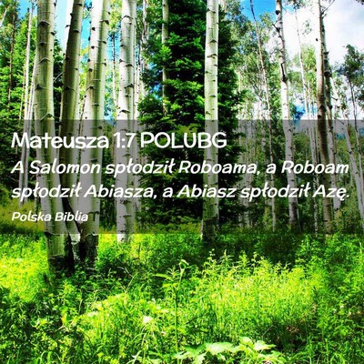 Picture 02 - Mateusza 1:7 POLUBG - A Salomon spłodził Roboama, a Roboam spłodził - Bible Verse Picture