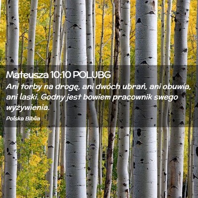 Picture 02 - Mateusza 10:10 POLUBG - Ani torby na drogę, ani dwóch ubrań, ani - Bible Verse Picture