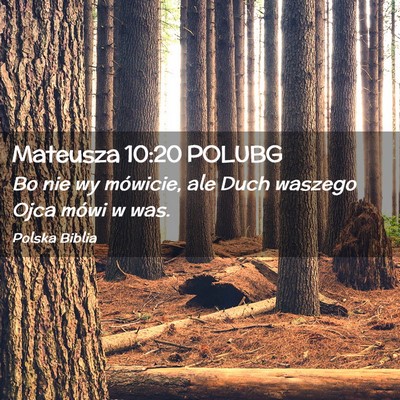 Picture 02 - Mateusza 10:20 POLUBG - Bo nie wy mówicie, ale Duch waszego Ojca mówi w - Bible Verse Picture