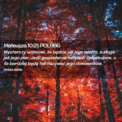 Picture 02 - Mateusza 10:25 POLUBG - Wystarczy uczniowi, że będzie jak jego mistrz, - Bible Verse Picture