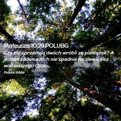 Picture 02 - Mateusza 10:29 POLUBG - Czy nie sprzedają dwóch wróbli za pieniążek? - Bible Verse Picture