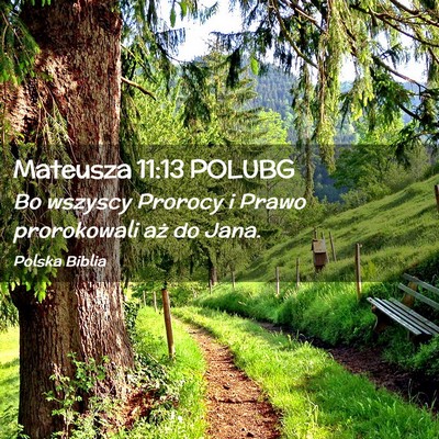Picture 02 - Mateusza 11:13 POLUBG - Bo wszyscy Prorocy i Prawo prorokowali aż do - Bible Verse Picture