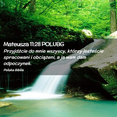 Picture 02 - Mateusza 11:28 POLUBG - Przyjdźcie do mnie wszyscy, którzy jesteście - Bible Verse Picture