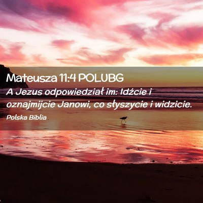 Picture 02 - Mateusza 11:4 POLUBG - A Jezus odpowiedział im: Idźcie i oznajmijcie - Bible Verse Picture