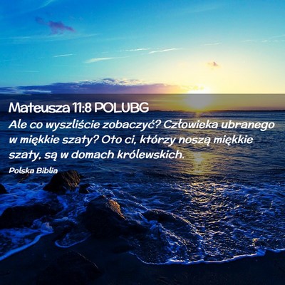 Picture 02 - Mateusza 11:8 POLUBG - Ale co wyszliście zobaczyć? Człowieka ubranego - Bible Verse Picture