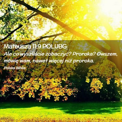 Picture 02 - Mateusza 11:9 POLUBG - Ale co wyszliście zobaczyć? Proroka? Owszem, - Bible Verse Picture
