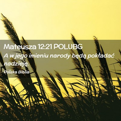 Picture 02 - Mateusza 12:21 POLUBG - A w jego imieniu narody będą pokładać - Bible Verse Picture