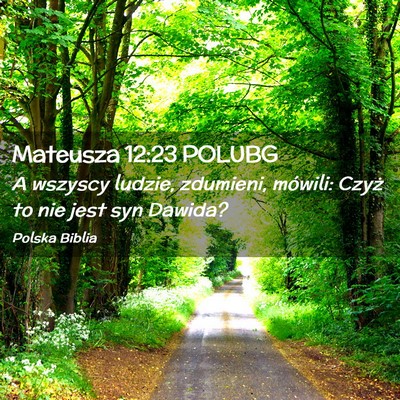 Picture 02 - Mateusza 12:23 POLUBG - A wszyscy ludzie, zdumieni, mówili: Czyż to nie - Bible Verse Picture