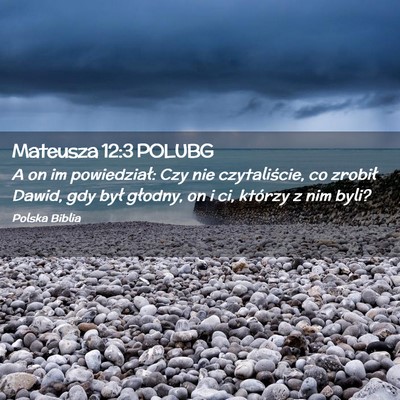 Picture 02 - Mateusza 12:3 POLUBG - A on im powiedział: Czy nie czytaliście, co - Bible Verse Picture
