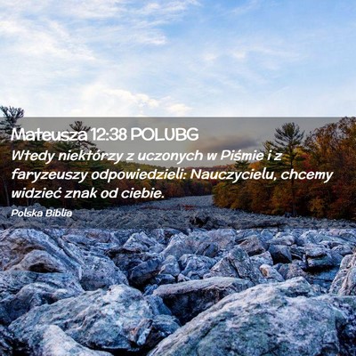 Picture 02 - Mateusza 12:38 POLUBG - Wtedy niektórzy z uczonych w Piśmie i z - Bible Verse Picture