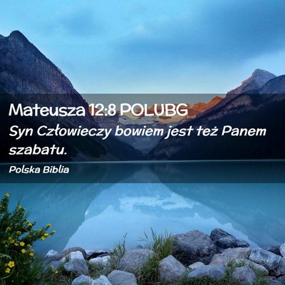 Picture 02 - Mateusza 12:8 POLUBG - Syn Człowieczy bowiem jest też Panem - Bible Verse Picture