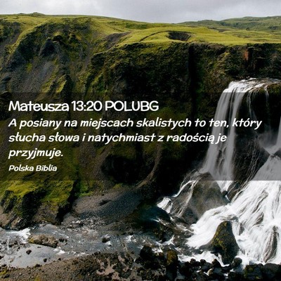 Picture 02 - Mateusza 13:20 POLUBG - A posiany na miejscach skalistych to ten, który - Bible Verse Picture