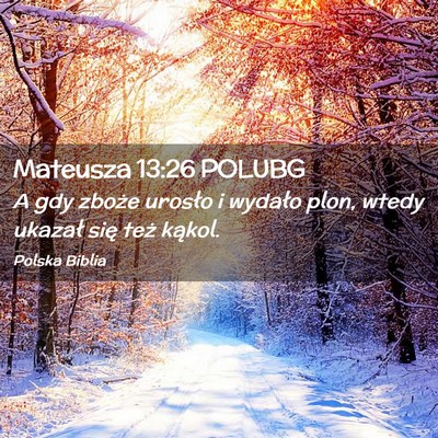 Picture 02 - Mateusza 13:26 POLUBG - A gdy zboże urosło i wydało plon, wtedy - Bible Verse Picture