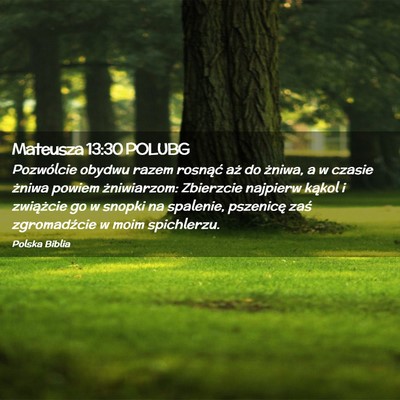 Picture 02 - Mateusza 13:30 POLUBG - Pozwólcie obydwu razem rosnąć aż do żniwa, a - Bible Verse Picture