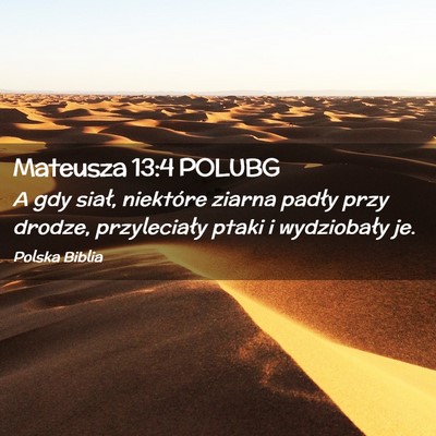 Picture 02 - Mateusza 13:4 POLUBG - A gdy siał, niektóre ziarna padły przy drodze, - Bible Verse Picture
