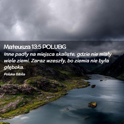 Picture 02 - Mateusza 13:5 POLUBG - Inne padły na miejsca skaliste, gdzie nie miały - Bible Verse Picture