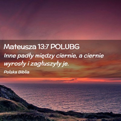Picture 02 - Mateusza 13:7 POLUBG - Inne padły między ciernie, a ciernie wyrosły i - Bible Verse Picture