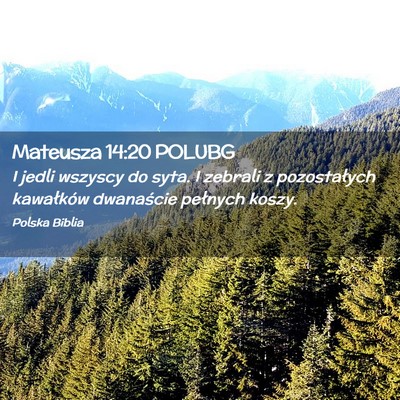 Picture 02 - Mateusza 14:20 POLUBG - I jedli wszyscy do syta. I zebrali z pozostałych - Bible Verse Picture