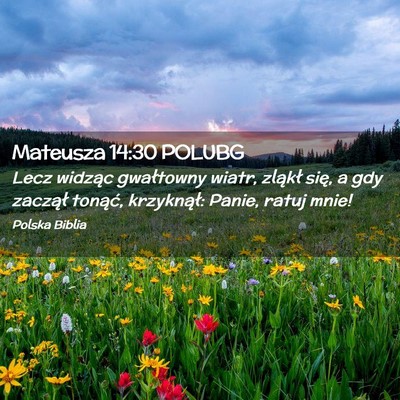 Picture 02 - Mateusza 14:30 POLUBG - Lecz widząc gwałtowny wiatr, zląkł się, a - Bible Verse Picture
