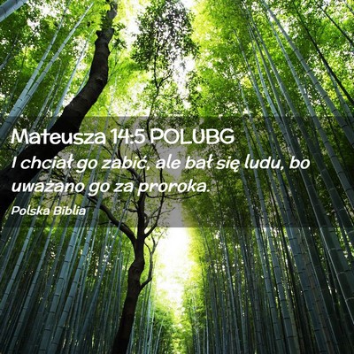 Picture 02 - Mateusza 14:5 POLUBG - I chciał go zabić, ale bał się ludu, bo - Bible Verse Picture