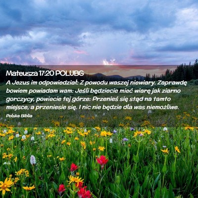 Picture 02 - Mateusza 17:20 POLUBG - A Jezus im odpowiedział: Z powodu waszej - Bible Verse Picture