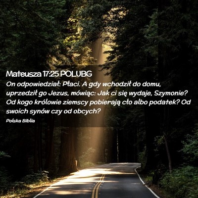 Picture 02 - Mateusza 17:25 POLUBG - On odpowiedział: Płaci. A gdy wchodził do - Bible Verse Picture