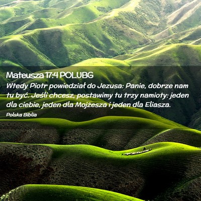 Picture 02 - Mateusza 17:4 POLUBG - Wtedy Piotr powiedział do Jezusa: Panie, dobrze - Bible Verse Picture