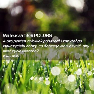 Picture 02 - Mateusza 19:16 POLUBG - A oto pewien człowiek podszedł i zapytał go: - Bible Verse Picture